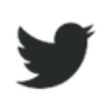 Twitter Icon